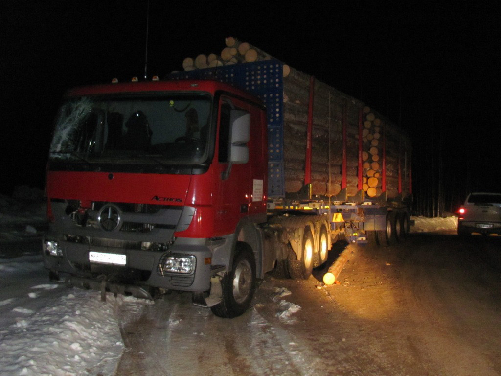 В Плесецком районе работника убило стропой при перевозке древесины
